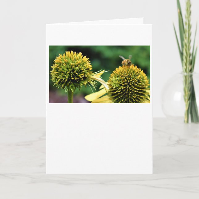 Abeille, carte (Devant)