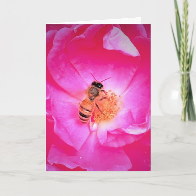 Abeille, carte (Devant)