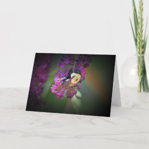 Abeille, carte