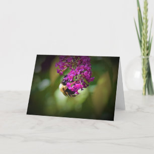 Abeille, carte