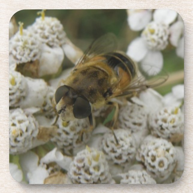 Abeille de miel et fleurs Dessous de verre de lièg (Devant)