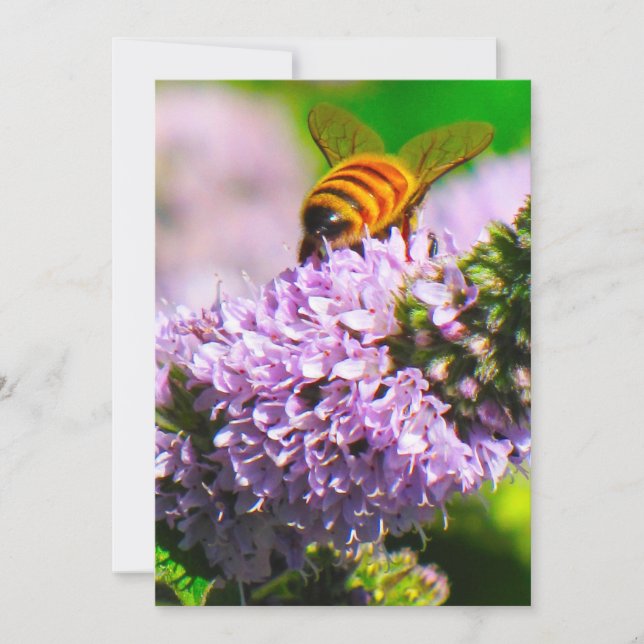 Abeille de vol 5 x 7 cartes de voeux d'expression/ (Devant)
