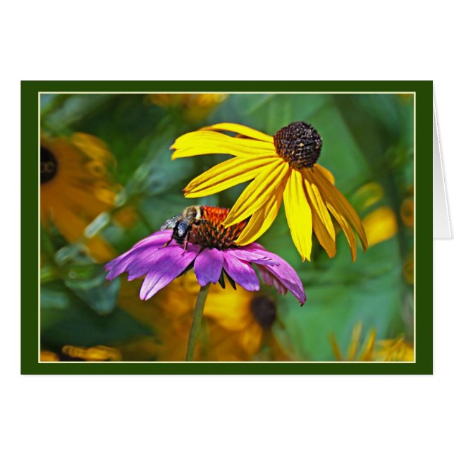 Abeille et fleurs (Devant horizontal)