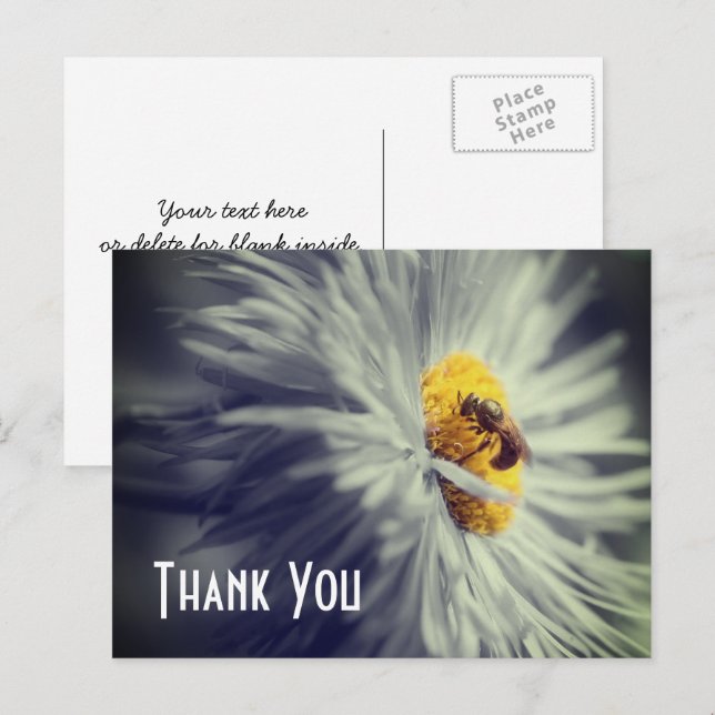 Abeille Gros Plan Sur Fleur Carte Postale De Remer (Devant / Derrière)