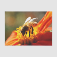 Abeille indigène dans un papier de soie de soie
