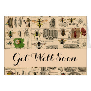 Abeille Insecte Bug Wasp Nature Peinture des abeil