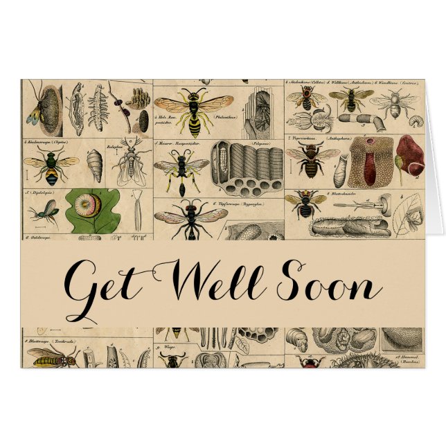 Abeille Insecte Bug Wasp Nature Peinture des abeil (Devant horizontal)