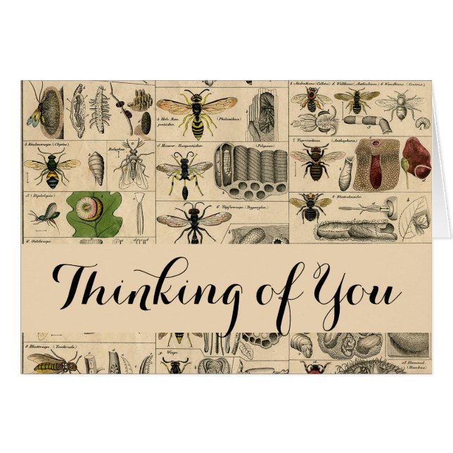 Abeille Insecte Bug Wasp Nature Peinture des abeil (Devant horizontal)