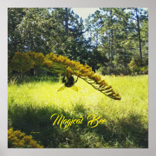 Abeille magique, affiche d'abeille, affiche d'abei