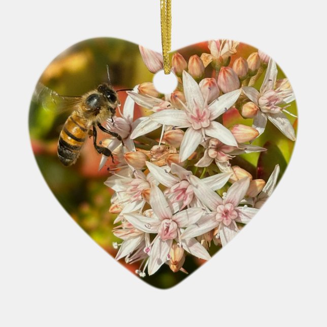 Abeille, Ornement (Devant)