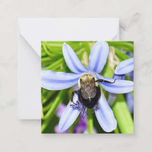 Abeille personnalisée en fleur mini cartes pour no