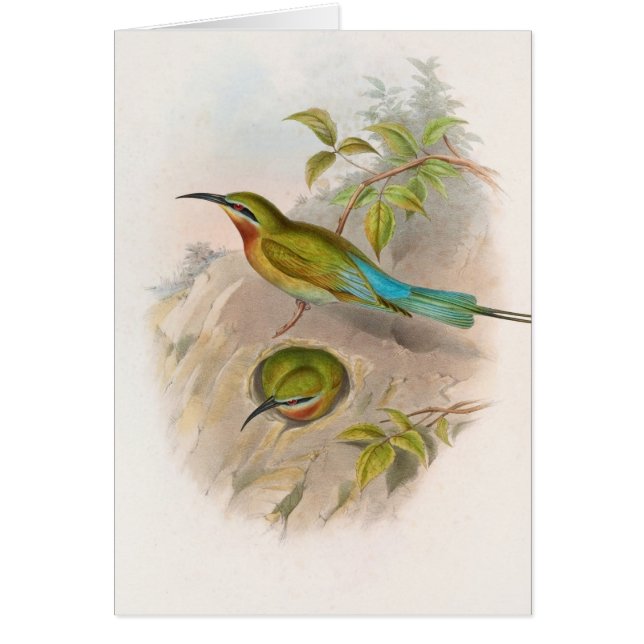 Abeille philippine (1850-1883) (Devant)