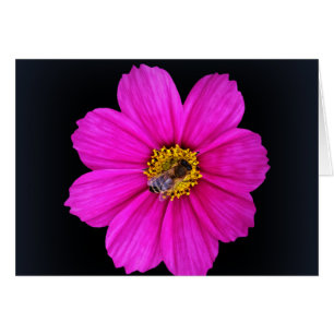 abeille qui travaille dur