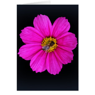 abeille qui travaille dur