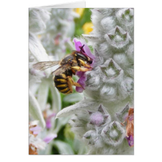 Abeille sur agneaux oreille ~ carte