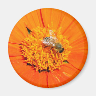 abeille sur aimant orange