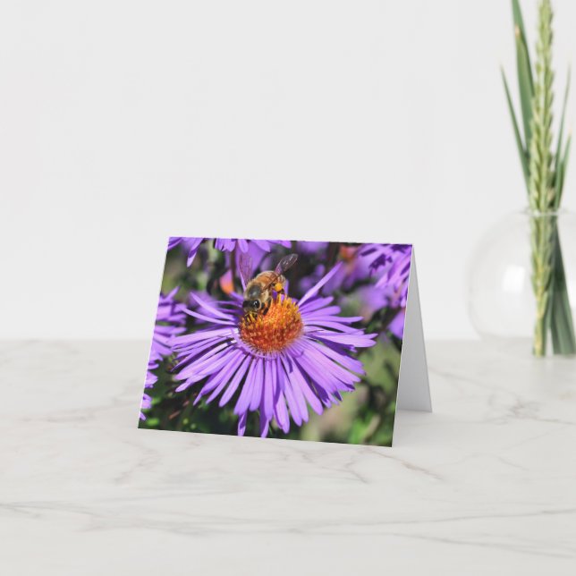 Abeille sur Aster Fleur Violet Photographie  (Devant)