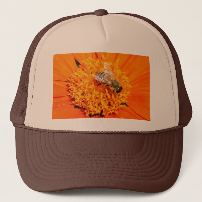 abeille sur casquette (Devant)