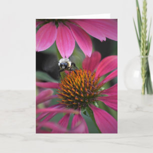 Abeille sur coneflower, carte