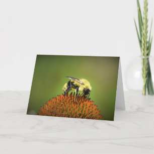 Abeille sur coneflower, carte