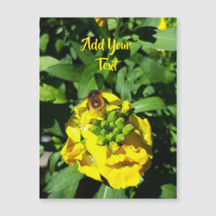 Abeille sur Fleurs Jaunes