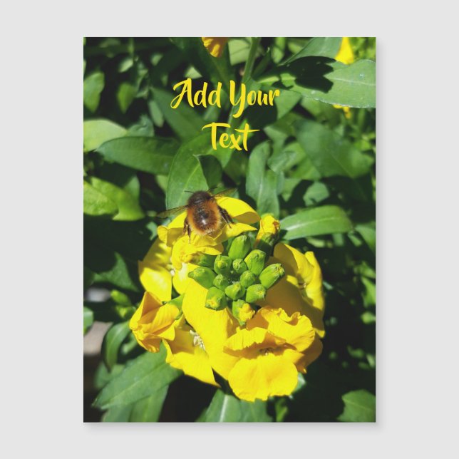 Abeille sur Fleurs Jaunes (Devant)