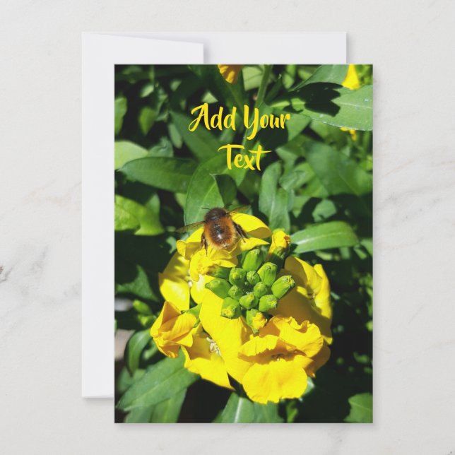 Abeille sur Fleurs Jaunes (Devant)