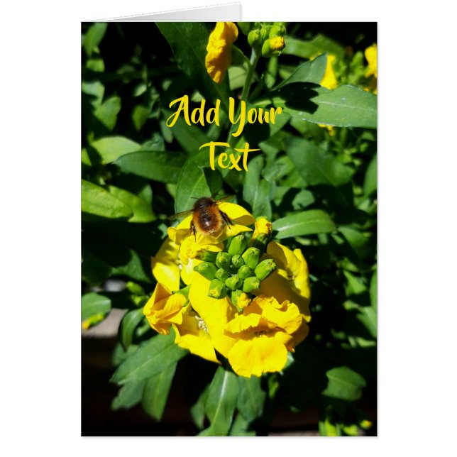 Abeille sur Fleurs Jaunes (Devant)
