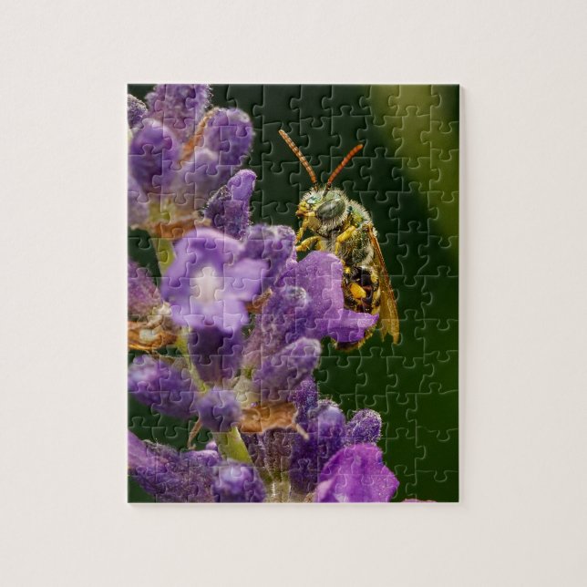 Abeille sur Flower Jigsaw Puzzle (Vertical)