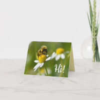 Abeille sur la fleur de camomille salut ! Carte