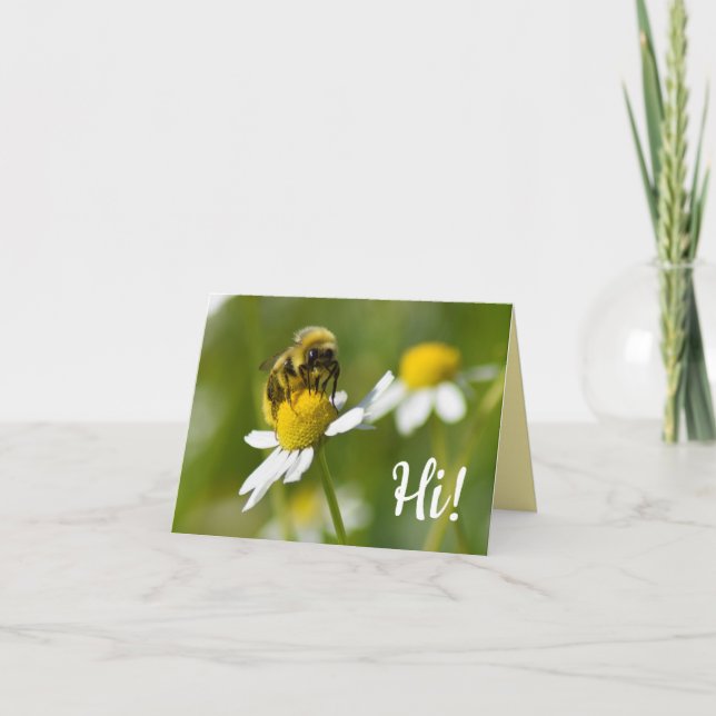Abeille sur la fleur de camomille salut ! Carte (Devant)
