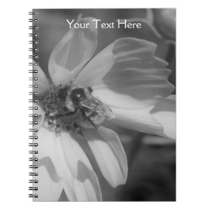Abeille Sur Le Carnet Fleur Cosmos