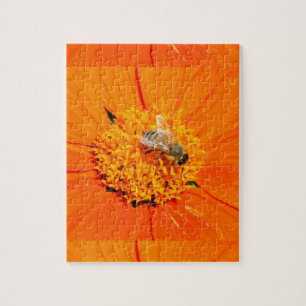 abeille sur puzzle de fleurs d'orange