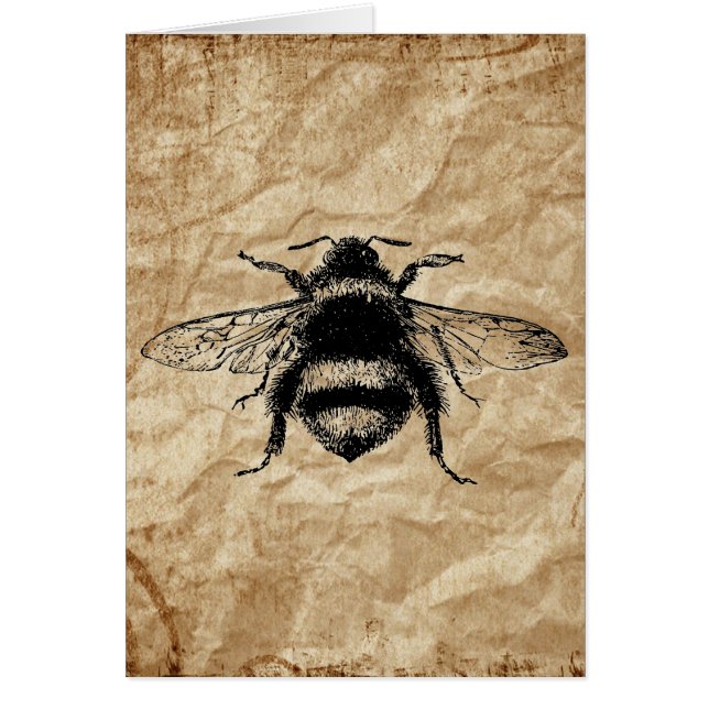 Abeille vintage (Devant)