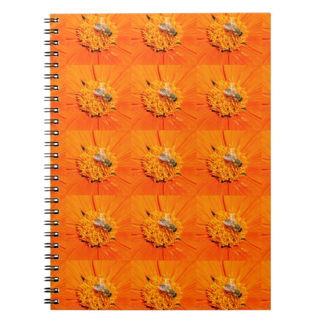abeilles sur carnet orange (Devant)