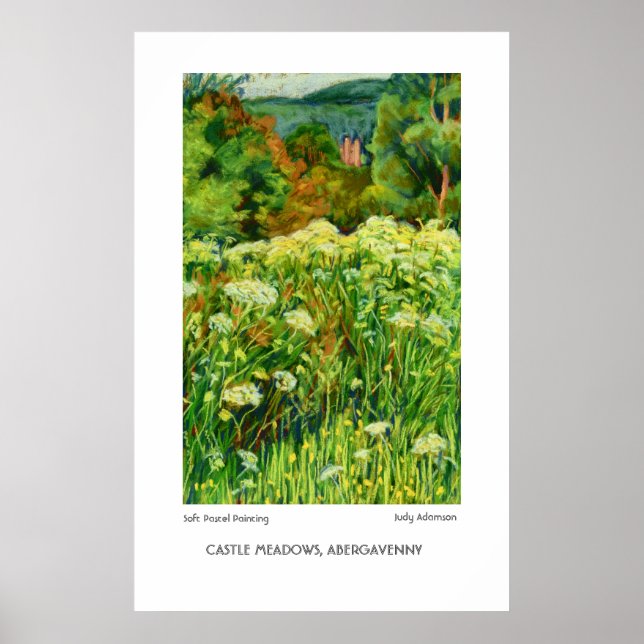 Abergavenny Castle Meadows Imprimer ou poster (Devant)