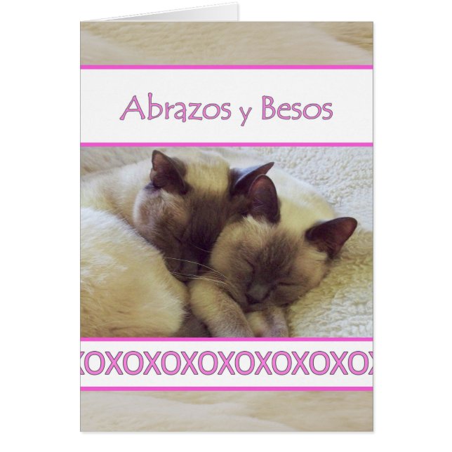 Abrazos y Besos, Hugs et Baisers en espagnol (Devant)