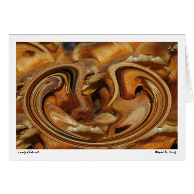 Abrégé sur champignons (Devant horizontal)