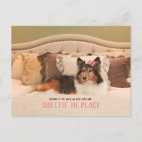 Abri pour chien mignon en place | Carte postale Sh