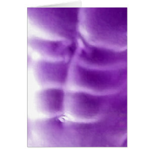 ABS