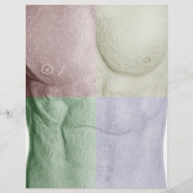 Abs colorés (Devant)