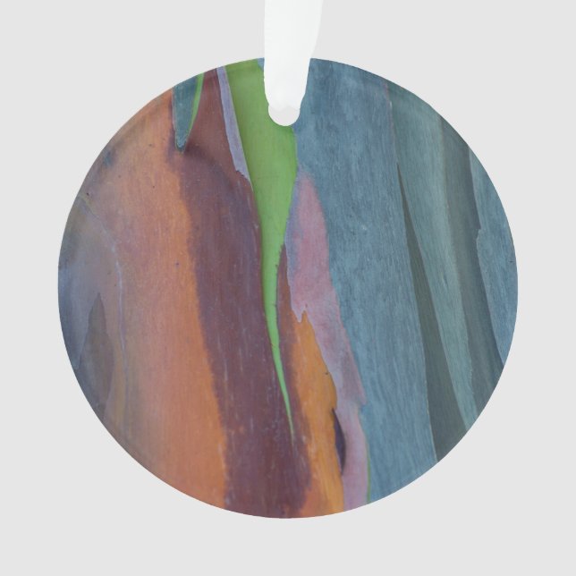 Abstrait D'Arbre À Gommes Arc-En-Ciel (devant)