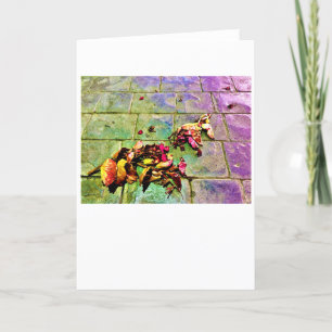 Abstrait Street View 720, carte