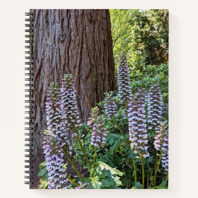 Acanthus/Bear's Breeches Floral Carnet (Devant)