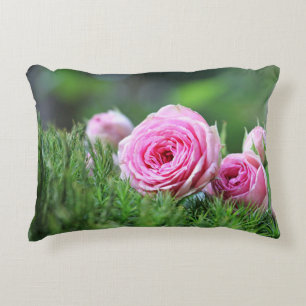 Accent Coussin