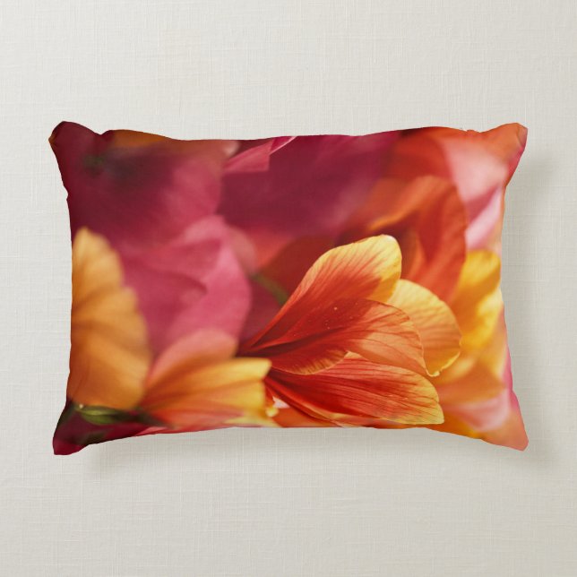 Accent Coussin (Devant)