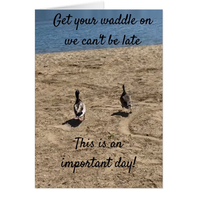 ***ACCEPTEZ VOTRE WADDLE SUR*** LES CANARDS DISENT (Devant)