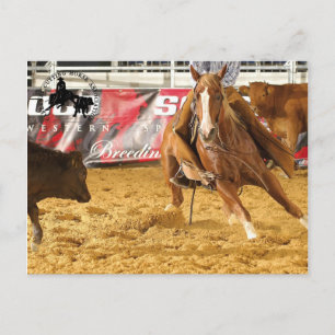 Accessoires Cabernet CHA Carte Postale 5