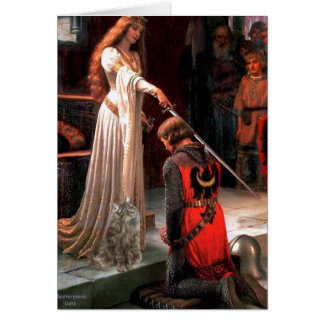 Accolade - Chat forestier norvégien