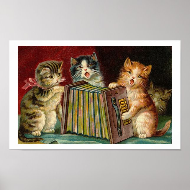 Accordeon Kittens Rock! Affiche (Devant)
